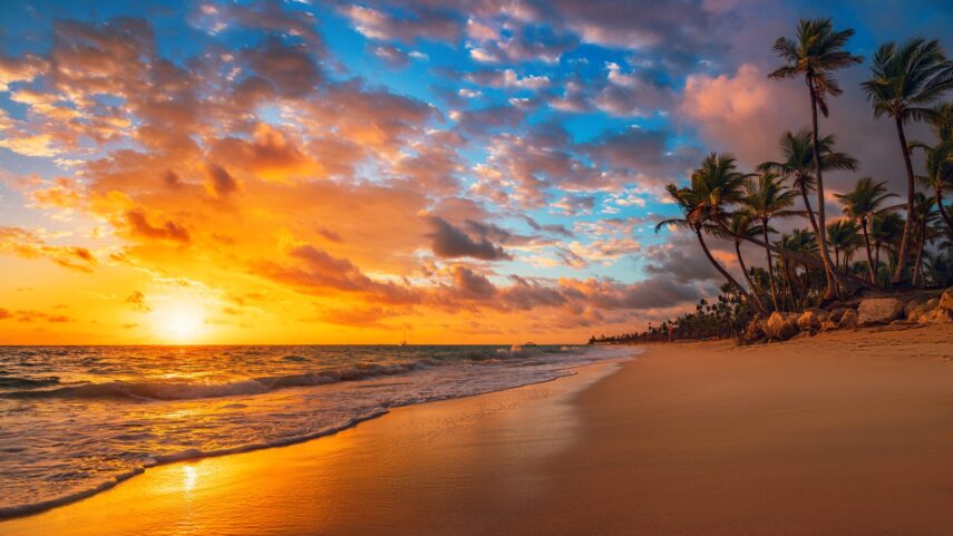 海边 夕阳 黄昏 海滩 沙滩 椰树风景4k壁纸-安忆小屋