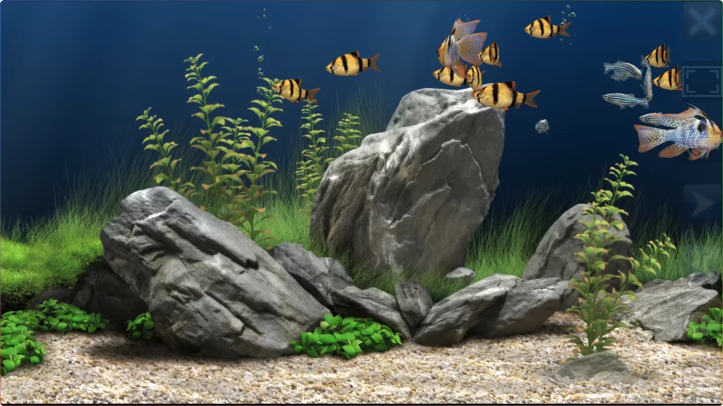 DreamAquarium v2.083：电脑屏保梦幻水族馆-安忆小屋